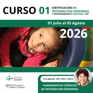 CURSO - 01 FUNDAMENTOS TEORICOS DE LA INTEGRACIÓN SENSORIAL 2026-B