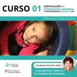 CURSO - 01 FUNDAMENTOS TEORICOS DE LA INTEGRACIÓN SENSORIAL