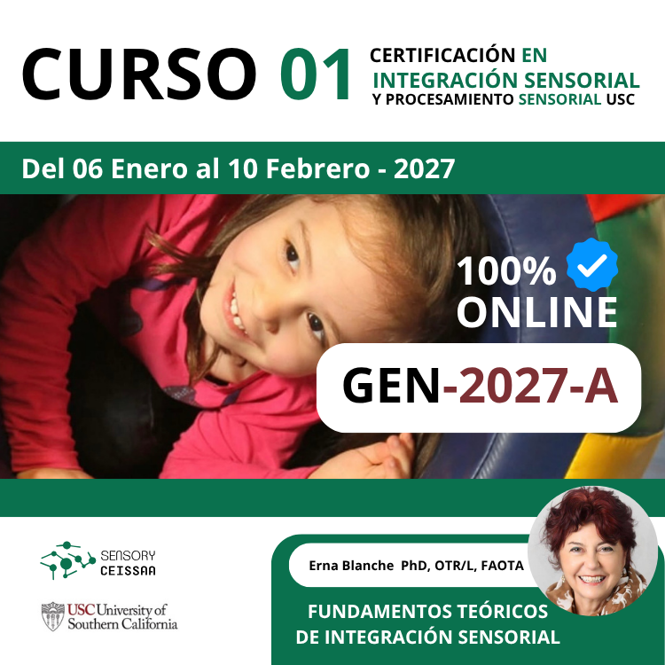 CURSO - 01 FUNDAMENTOS TEORICOS DE LA INTEGRACIÓN SENSORIAL 2027-A