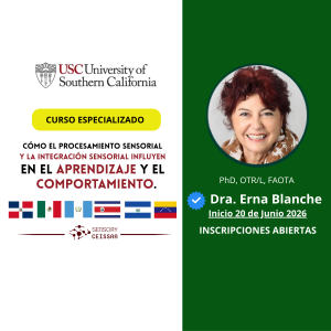 Cómo el procesamiento sensorial  y la integración sensorial influyen en el aprendizaje y el comportamiento