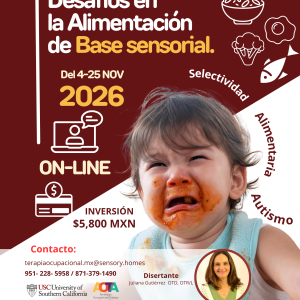 CURSO: DESAFÍOS EN LA ALIMENTACIÓN DE BASE SENSORIAL
